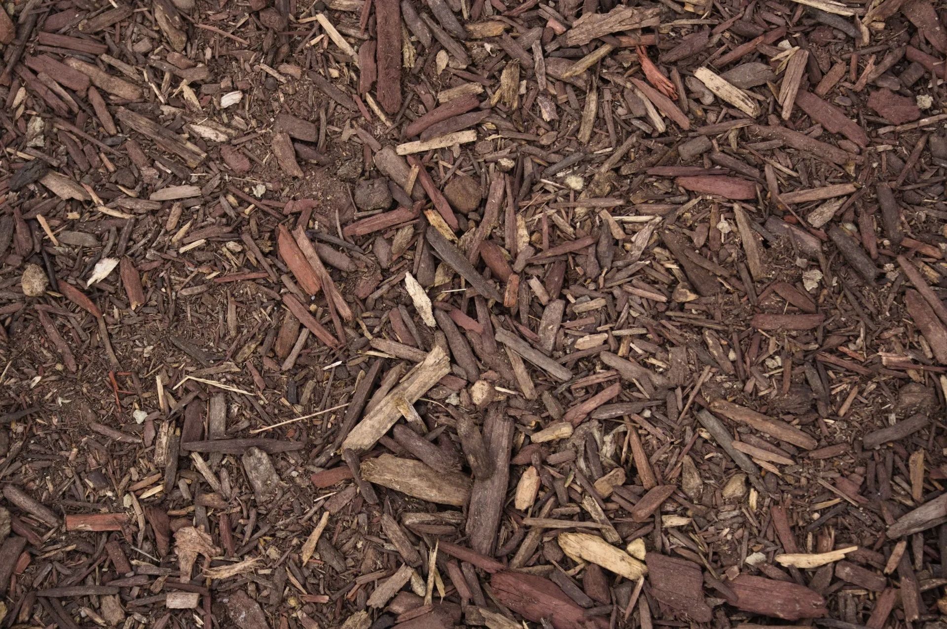 Brown mulch ground cover.
