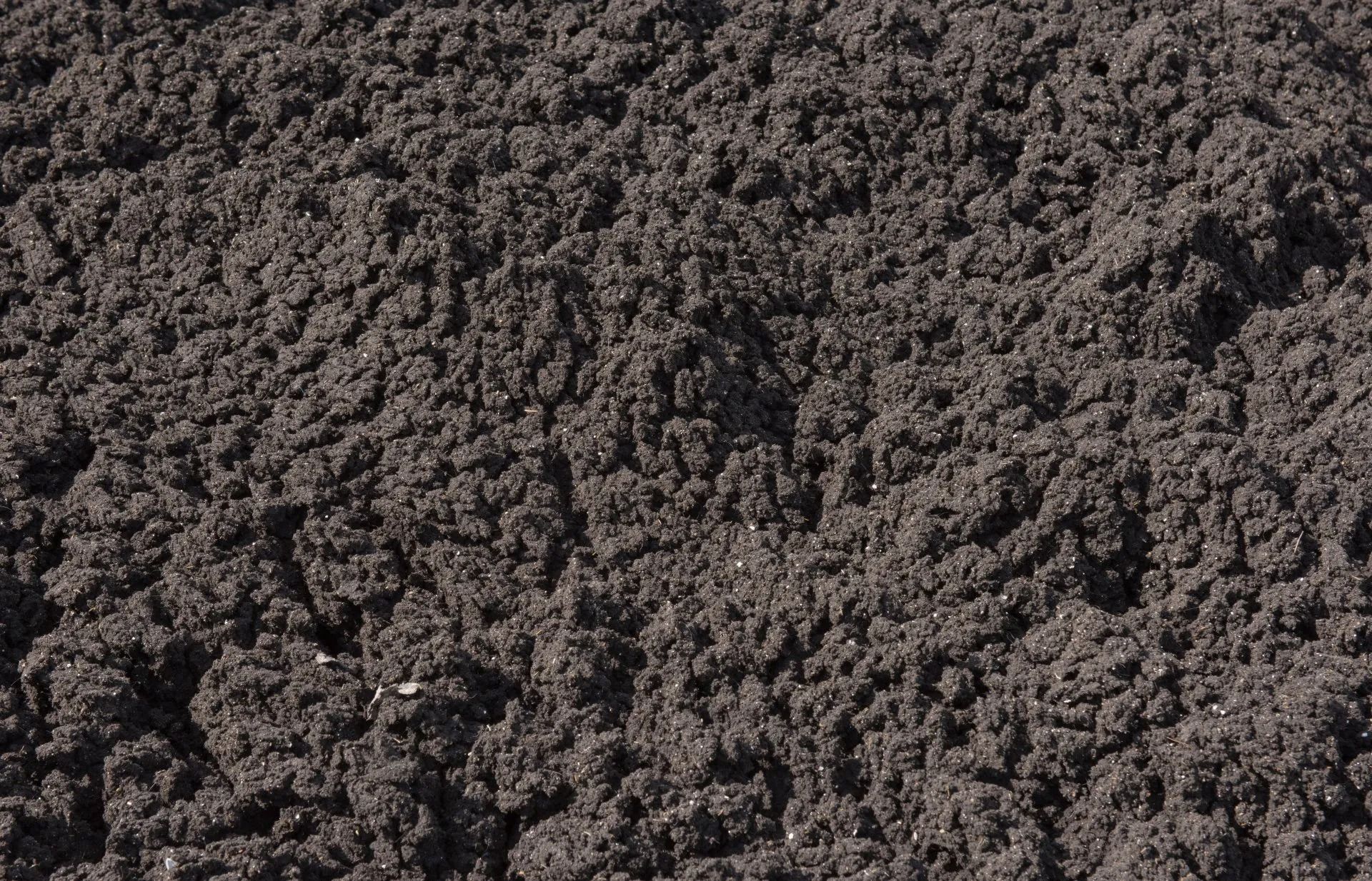 Dark, textured soil, likely topsoil, filling the frame.