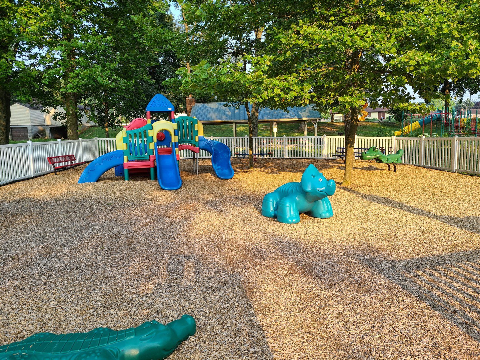 A playground with a crocodile in the middle of it