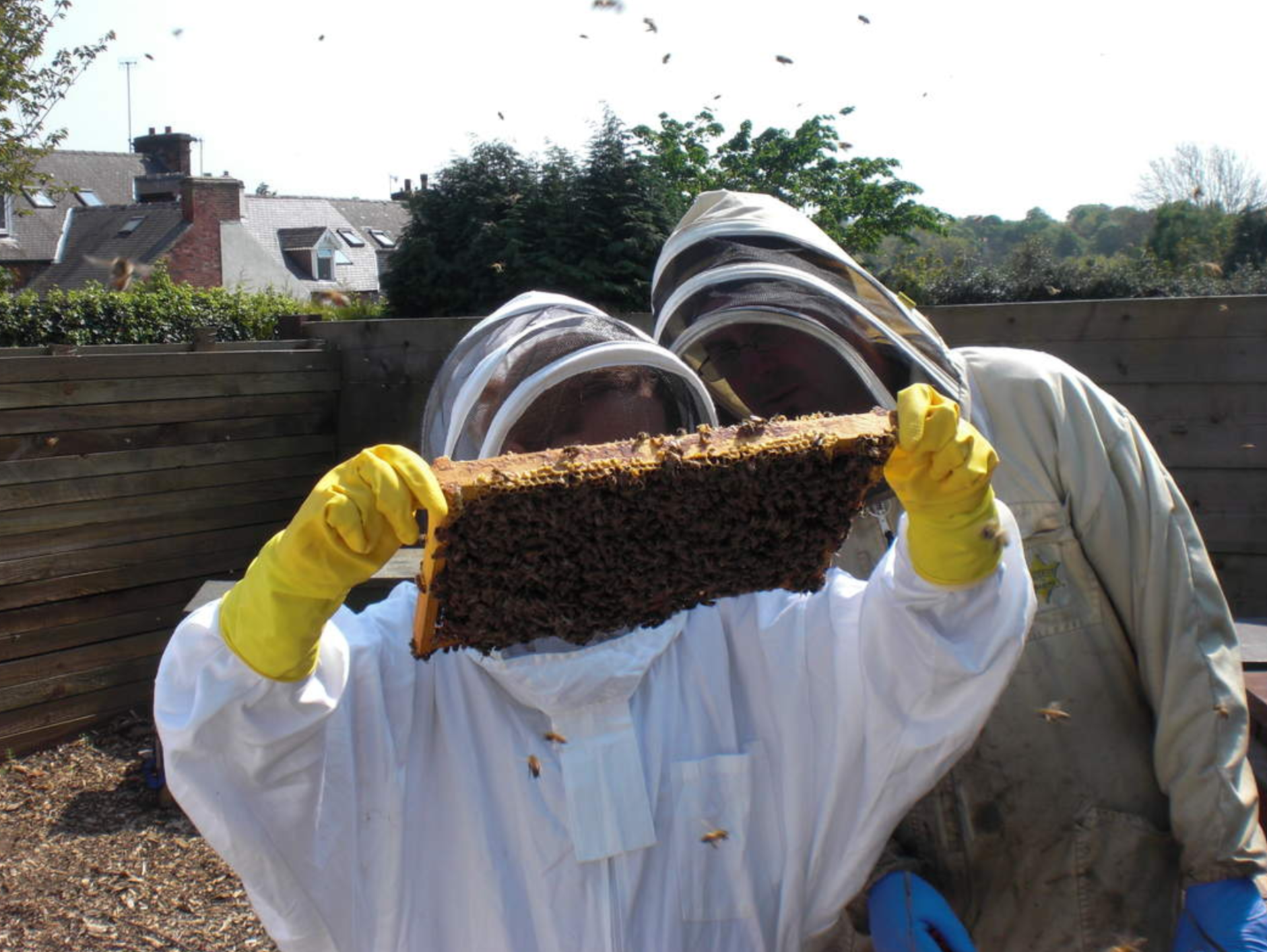 Use Beekeeper who preserves the nest and queen bee - relocating - not destroying.