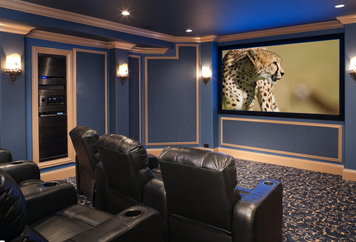 A home theater with a cheetah on the screen