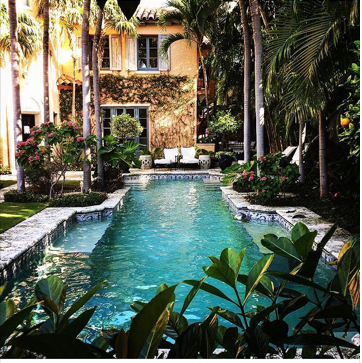 A large swimming pool in front of a house surrounded by palm trees