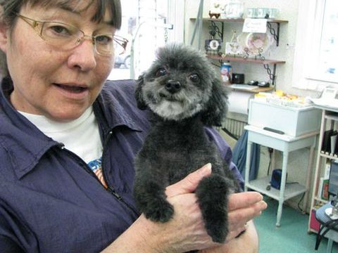 Dee's Dog Grooming, LLC