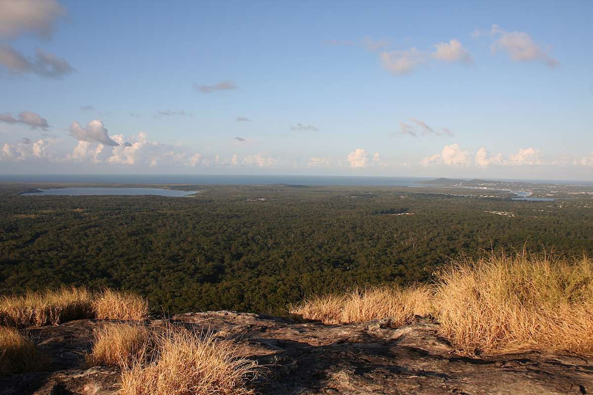 A View of a Lush Green Forest From the Top of a Mountain — Nicks Readymix in Cooroy, QLD