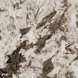 Close-up of a white and gray speckled granite surface with brown mineral flecks