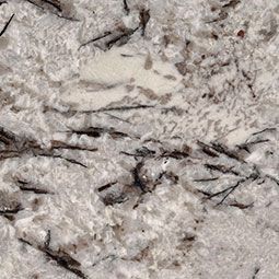 Close-up of light gray marble with dark black veining and a speckled, textured surface