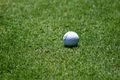 White golf ball on green grass.