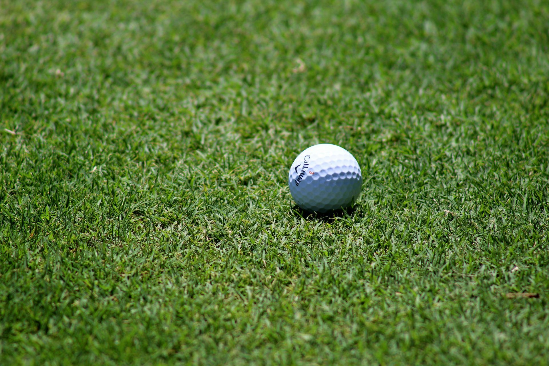 White golf ball on green grass.