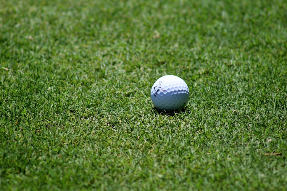 Golf ball on green grass.