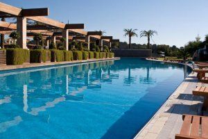 A large swimming pool with palm trees in the background