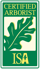 Certified Arborist logo: green rectangle with