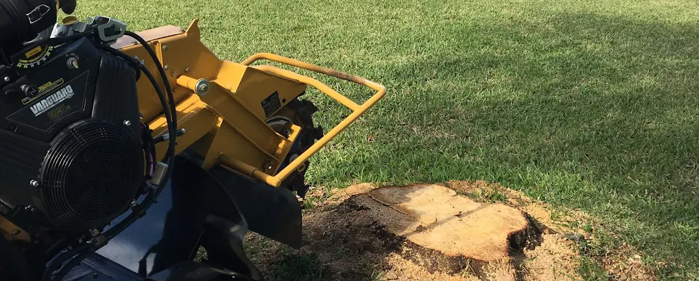 A yellow stump grinder working on a tree stump in a grassy yard.