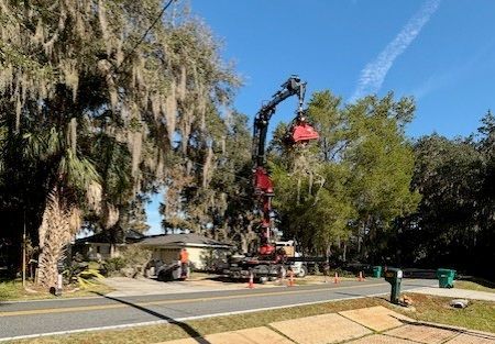 Crane trimming tree in front of a house, bright sunny day, orange cones on road.