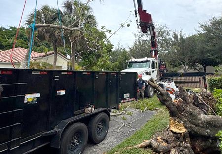 Tree service truck loading a large tree stump and branches into a trailer, near a house.