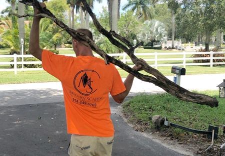 Man in orange shirt holding a large tree branch outdoors near a mailbox.
