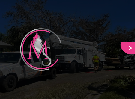 A staircase is being built in front of a house.