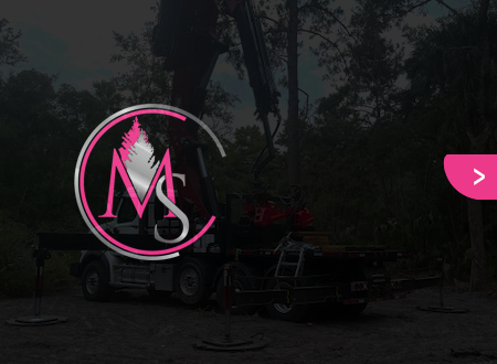 A logo for h & g tree experts with a tree in the background