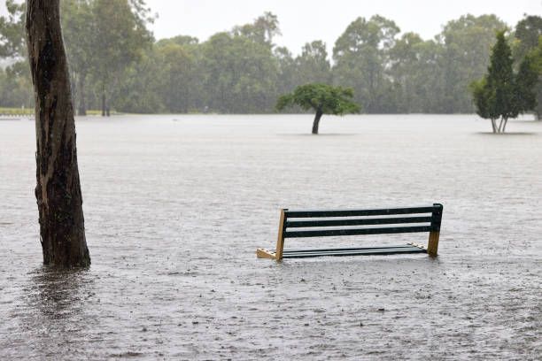 Flooded Bench - Apopka, FL - Strohm Agency Inc