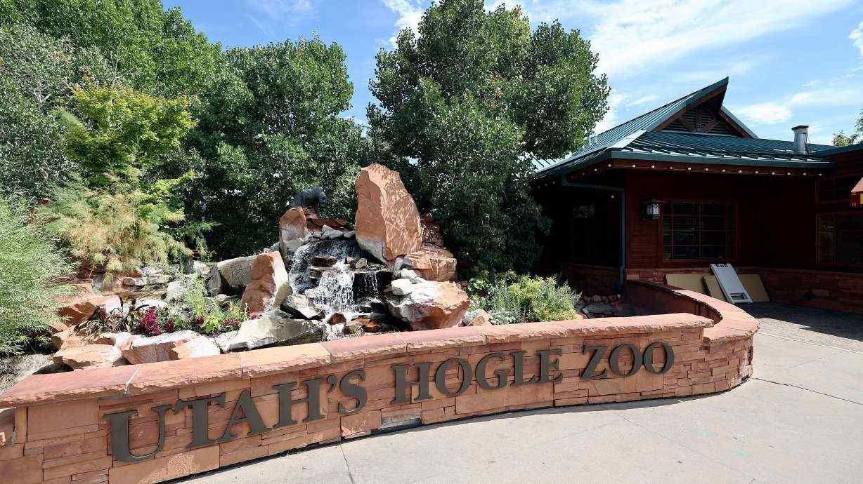 A sign for utah 's hogie zoo is sitting in front of a building.