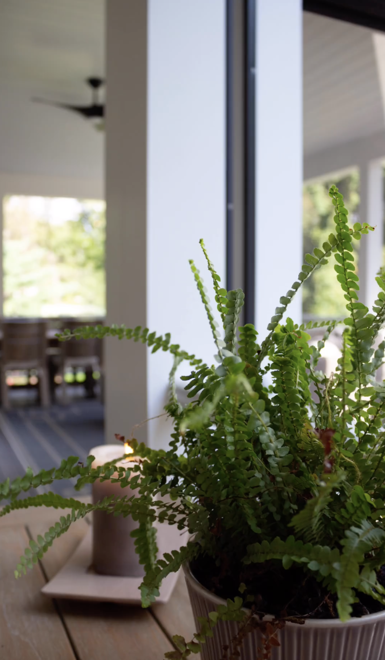 A potted plant is sitting on a wooden table next to a window.