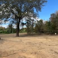 A dirt field with trees and a blue sky in the background.
