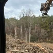 A person is driving a bulldozer through a forest.