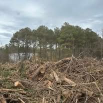 A pile of logs in a field with trees in the background.