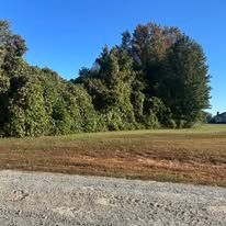 A dirt road going through a field with trees in the background.