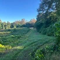 A path going through a grassy field surrounded by trees on a sunny day.