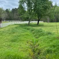 A grassy field with a white fence and trees in the background.