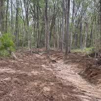 A dirt road in the middle of a forest.