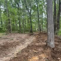 A dirt path in the middle of a forest with trees in the background.