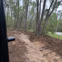 A dirt road going through a forest with trees in the background.