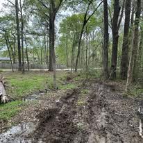 A muddy road in the middle of a forest with trees in the background.