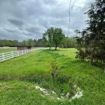 A grassy field with a white fence and trees in the background.