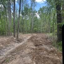 A dirt road in the middle of a forest.