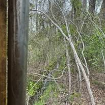A pole in the middle of a forest with trees in the background.