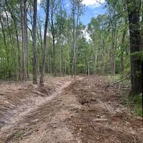 A dirt road in the middle of a forest with trees in the background.