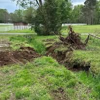 A large tree stump in the middle of a grassy field.
