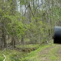 A car is driving down a dirt road in the woods.