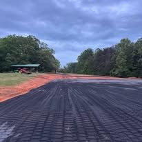 A dirt road with a few trees on the side of it.