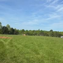 A large grassy field with trees in the background on a sunny day.