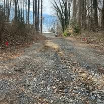 A gravel road going through a forest with trees on both sides.