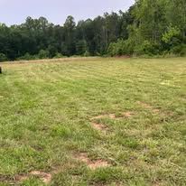 A large lush green field with trees in the background.