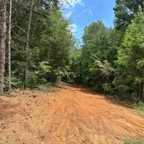 A dirt road surrounded by trees on a sunny day.