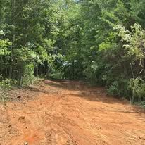 A dirt road going through a forest with trees on both sides.