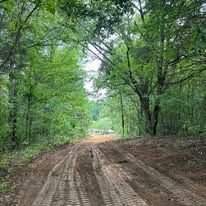 A dirt road going through a lush green forest.