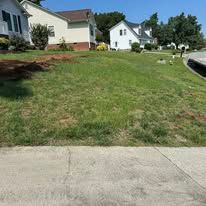 A lawn with a lot of grass and houses in the background.