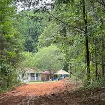A dirt road leading to a house in the middle of a forest.