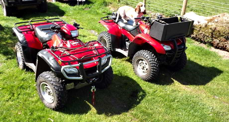 Bandit guarding the Quads used in environmentally sensitive areas
